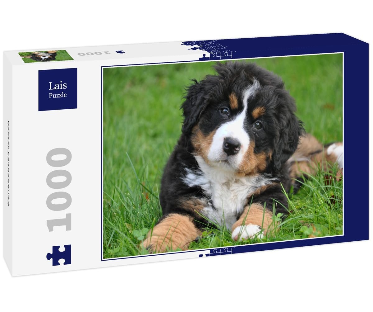 Пазл Lais Puzzle Бернский зенненхунд 1000 деталей, фото №1