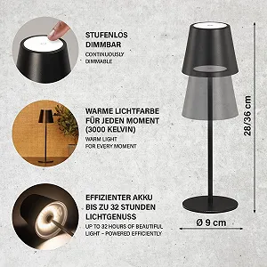 Настільна лампа Viletto Акумуляторна LED 2 Вт 190 лм 3000 K Регульована яскравість USB synthetic.ua - Фото 1