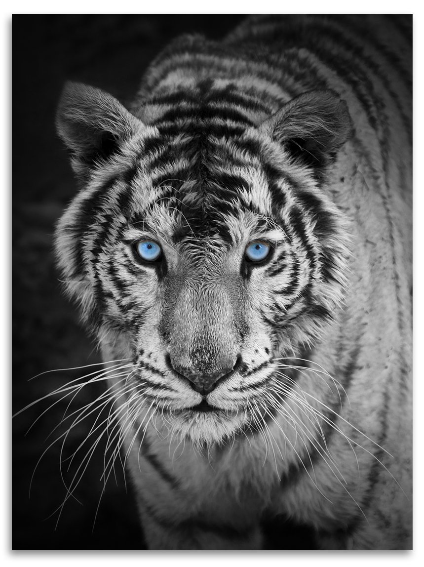 Покривало Kinzler Різнокольорова 150 x 200 см, фото №1 Покривало Kinzler Різнокольорова 150 x 200 см, фото №1