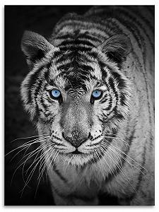 Покривало Kinzler Різнокольорова 150 x 200 см - Фото 1