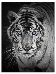 Покривало Kinzler Різнокольорова 150 x 200 см - Фото 1