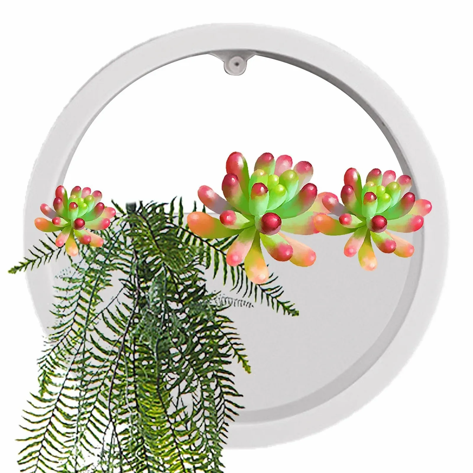 Вазон настінний Round Wall Flower Pot круглий прозорий 1, фото №7