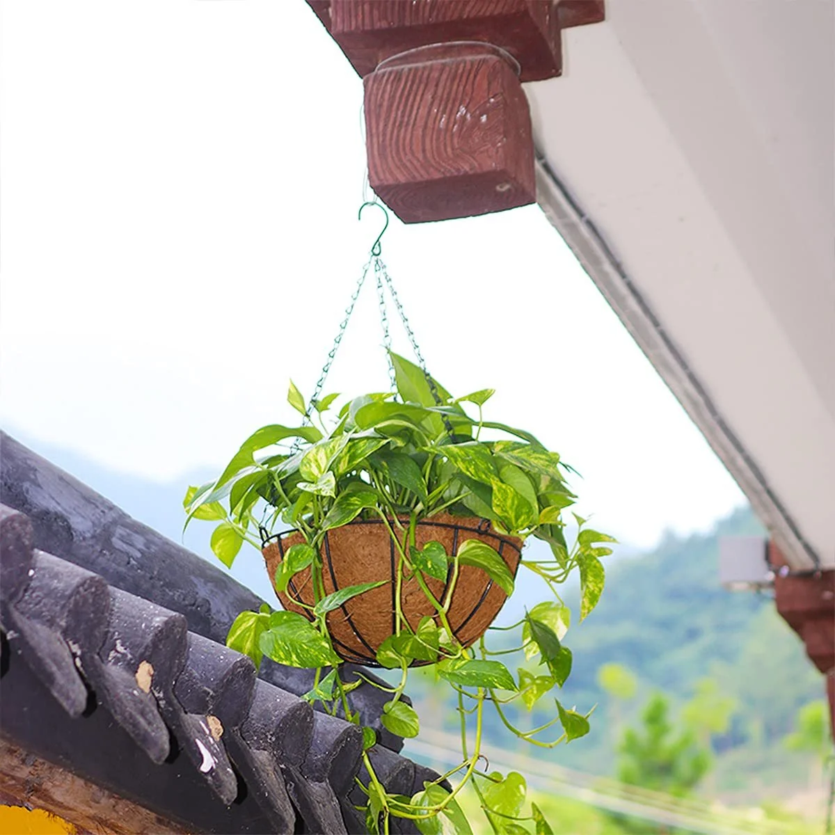 Вкладиші кокосові для підвісних кошиків Набір із 4 шт. змінні круглі 35 см, фото №5