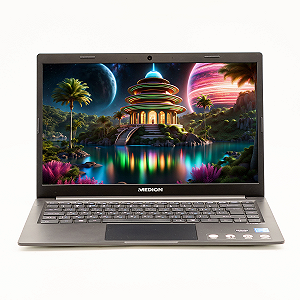Ноутбук Medion Akoya E4251 14" RAM 4 ГБ SSD 256 ГБ + eMMC 64 ГБ FullHD IPS Ультрабук Метал Win10 - Фото 1