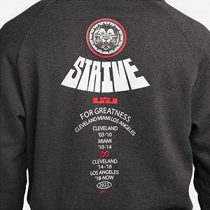 Худі Nike Lebron Pullover Basketball Hoodie Grey L synthetic.ua - Фото 1