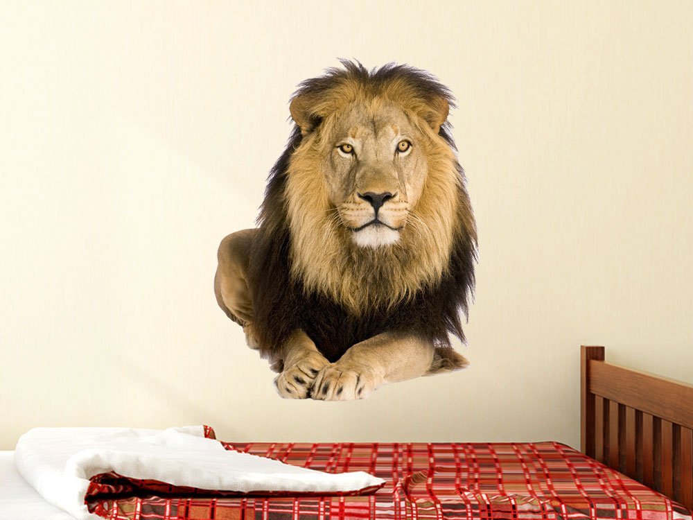 Наклейка на стіну GRAZDesign Lion Savannah Africa 3D 74 x 57 см, фото №7