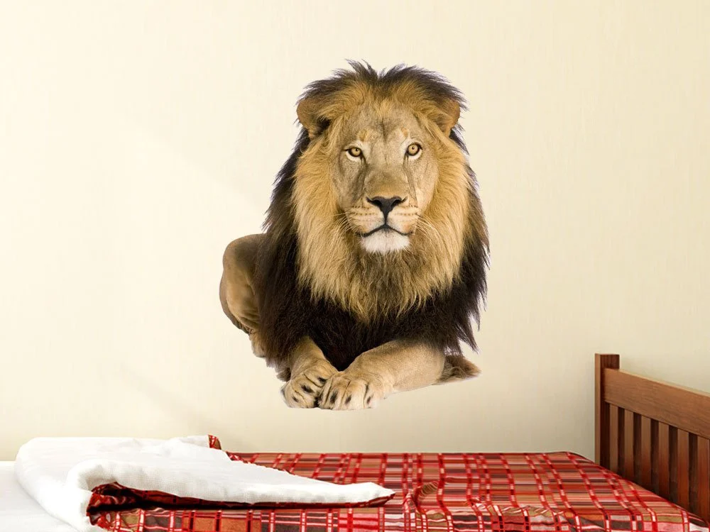 Наклейка на стену GRAZDesign Lion Savannah Africa 3D 74 x 57 см, фото №7