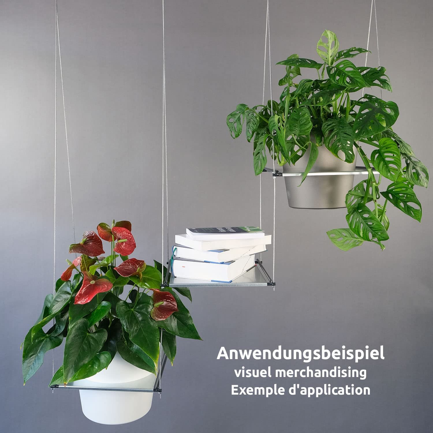 Набір підвісних полиць для рослин bellissa Filo Рама 29,8 x 31,8 см 2 сталеві троси 4 кільця, фото №4 Набір підвісних полиць для рослин bellissa Filo Рама 29,8 x 31,8 см 2 сталеві троси 4 кільця, фото №4