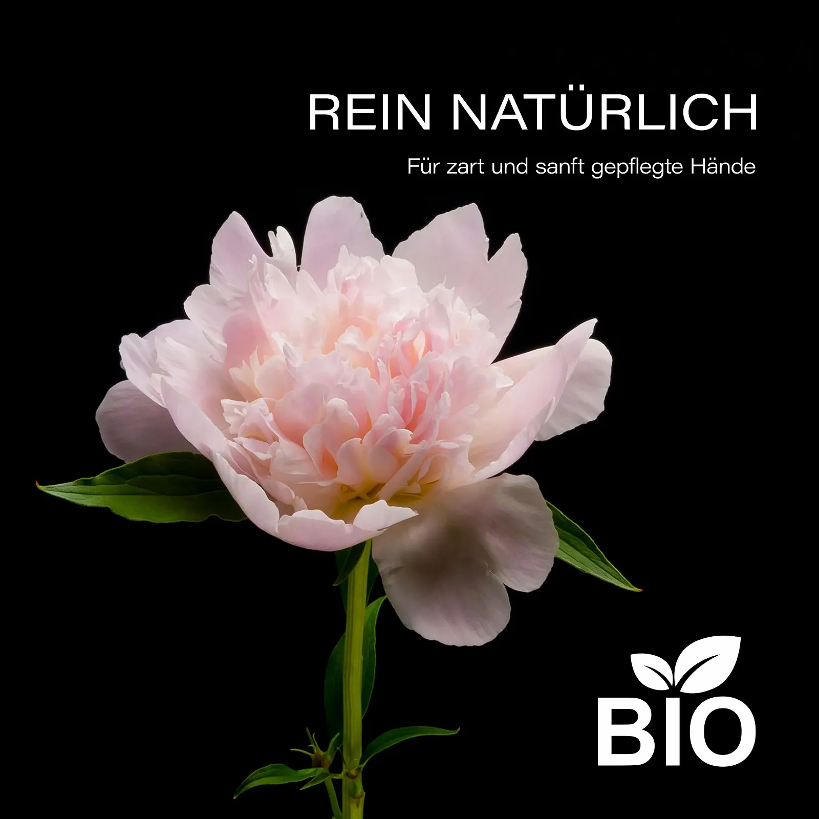 Крем для рук Leo & Lilo Peony 75 мл (набір 3 шт.), фото №9 Крем для рук Leo & Lilo Peony 75 мл (набір 3 шт.), фото №9