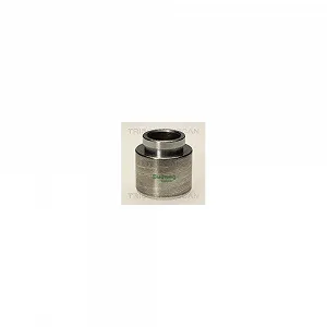 Поршень тормозного суппорта TRISCAN 8170 234518 - Фото 1