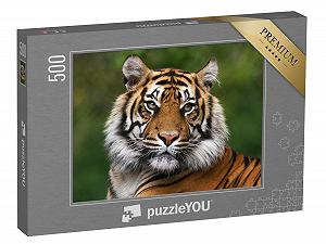 Пазл puzzleYOU Tiger Animals in Savannah & Desert Puzzle Collection Portrait of a Bengal Tiger 500 деталей - Фото 1