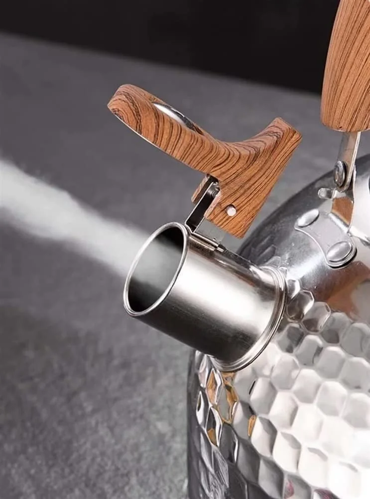 Чайник-свистунець з нержавіючої сталі, фото №7 Чайник-свистунець з нержавіючої сталі, фото №7