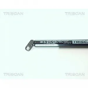 Газовая пружина багажника TRISCAN 8710 11207 BMW synthetic.ua - Фото 1