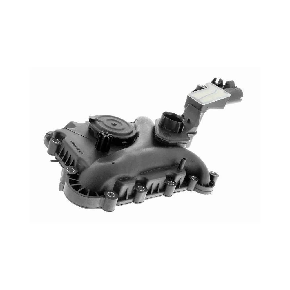 Масловіддільник, вентиляція картера VAICO V10-5794 VW, фото №1