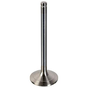 Впускний клапан FEBI BILSTEIN 178928 для MAN - Фото 1