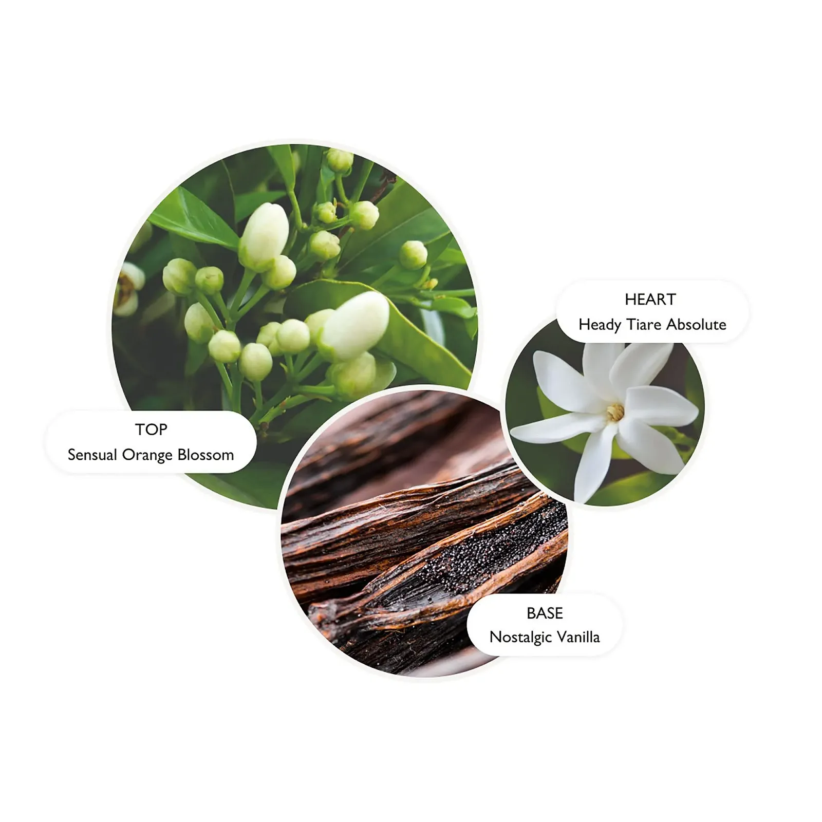 Крем для рук Molton Brown Flora Luminare 40 мл, фото №2 Крем для рук Molton Brown Flora Luminare 40 мл, фото №2