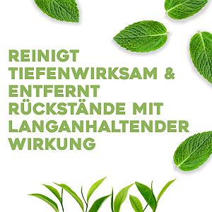 Кондиционер OGX Teatree Mint Extra Strength Conditioner 385 мл Зеленый synthetic.ua - Фото 1