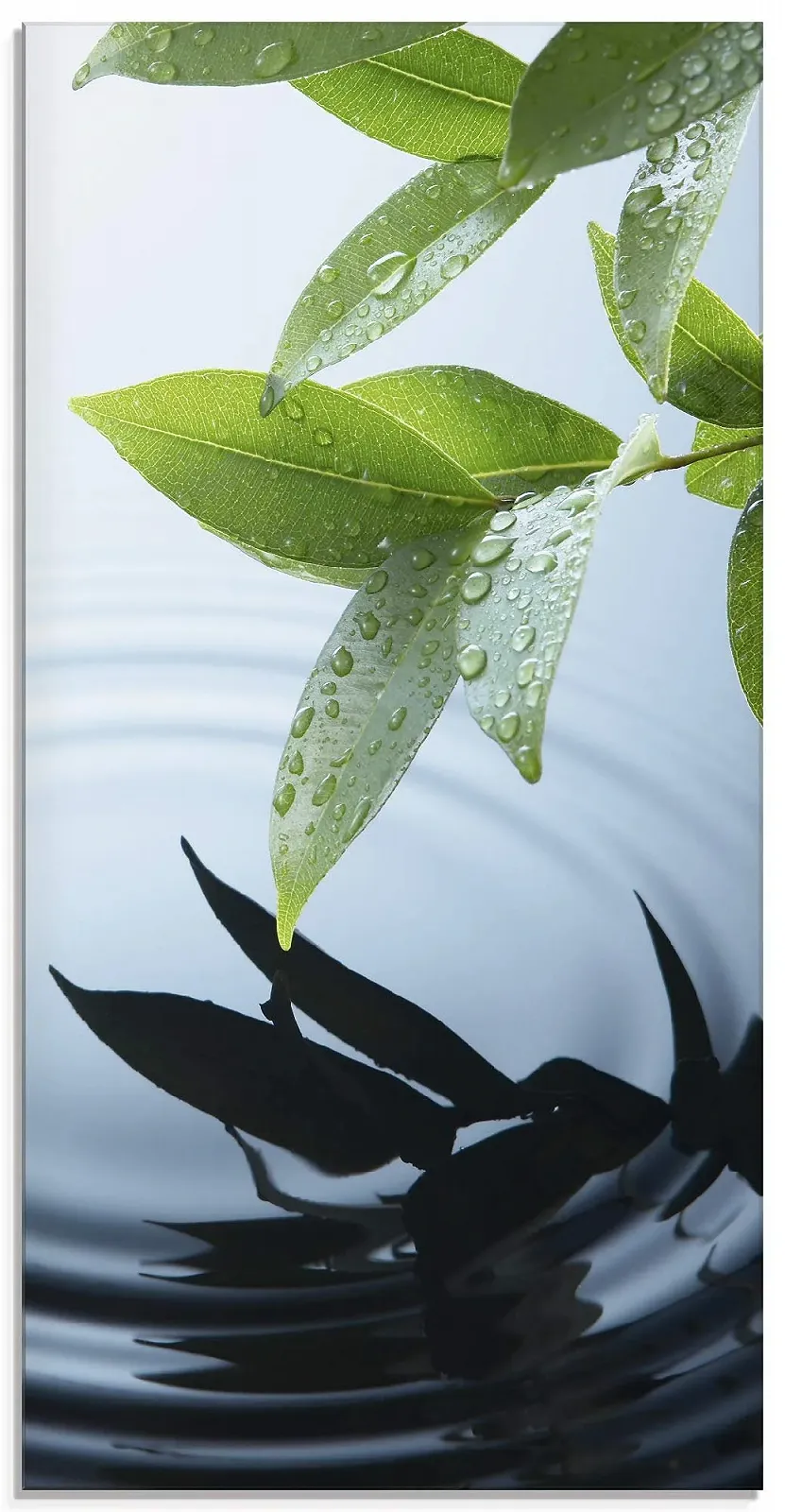 Картина на склі ARTland T5VV Nature Lake Plants Water Tree Leaves Water Drops 30 x 60 см Портретний формат, фото №1
