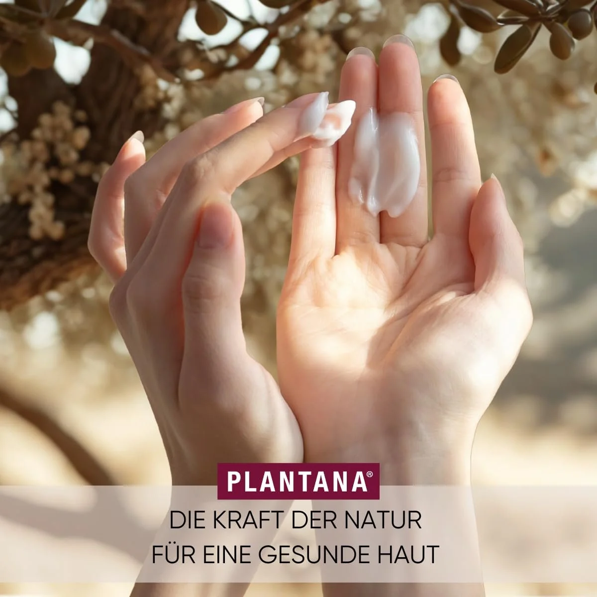 Крем для тела PLANTANA® Organic Aloe Vera 500 мл | Для сухой кожи | С витамином Е | Веганский | Справедливая торговля | Органическое выращивание | Дерматологически протестировано | Экономичный | Быстро впитывается, фото №4