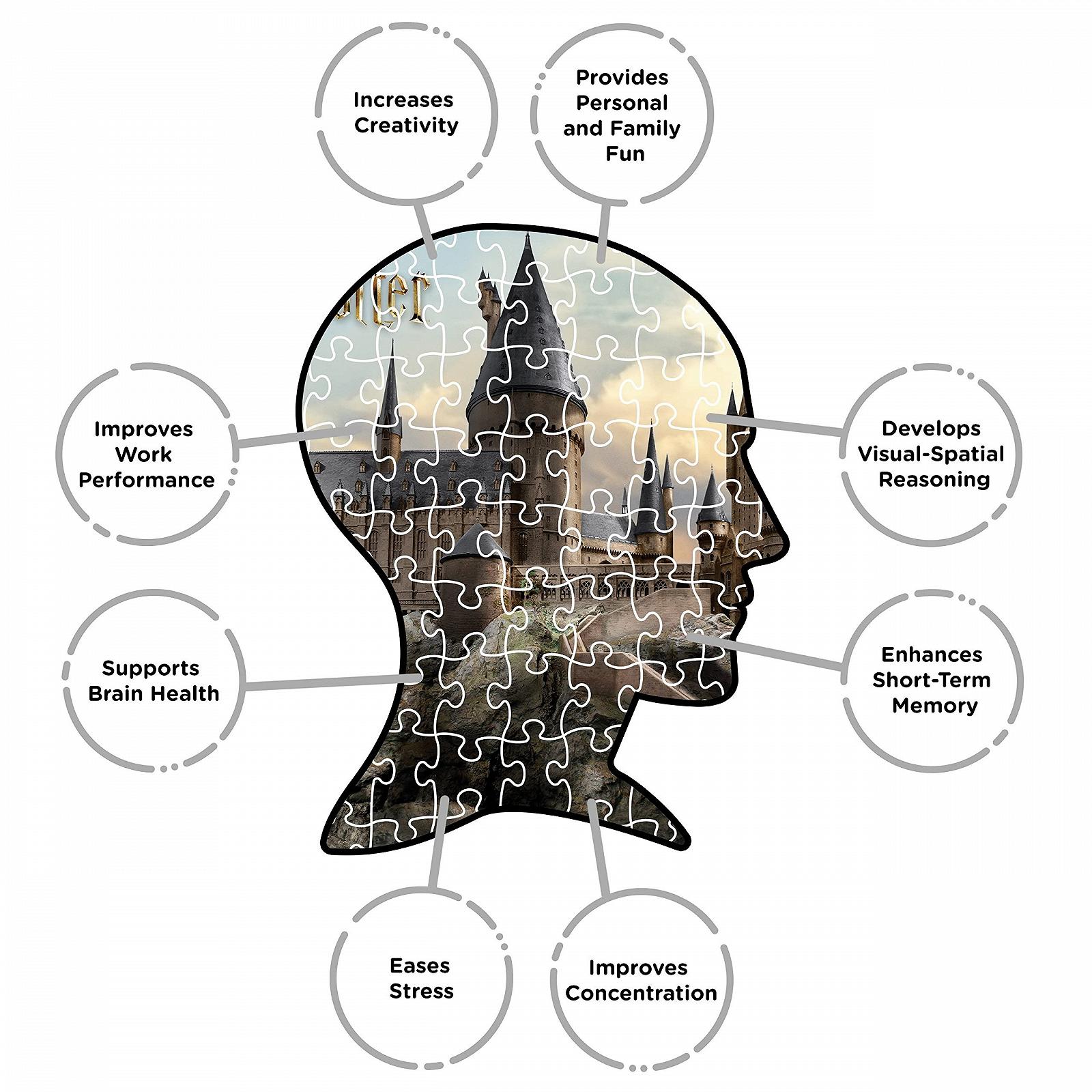 Пазл Harry Potter Hogwarts 3000 элементов, фото №5 Пазл Harry Potter Hogwarts 3000 элементов, фото №5