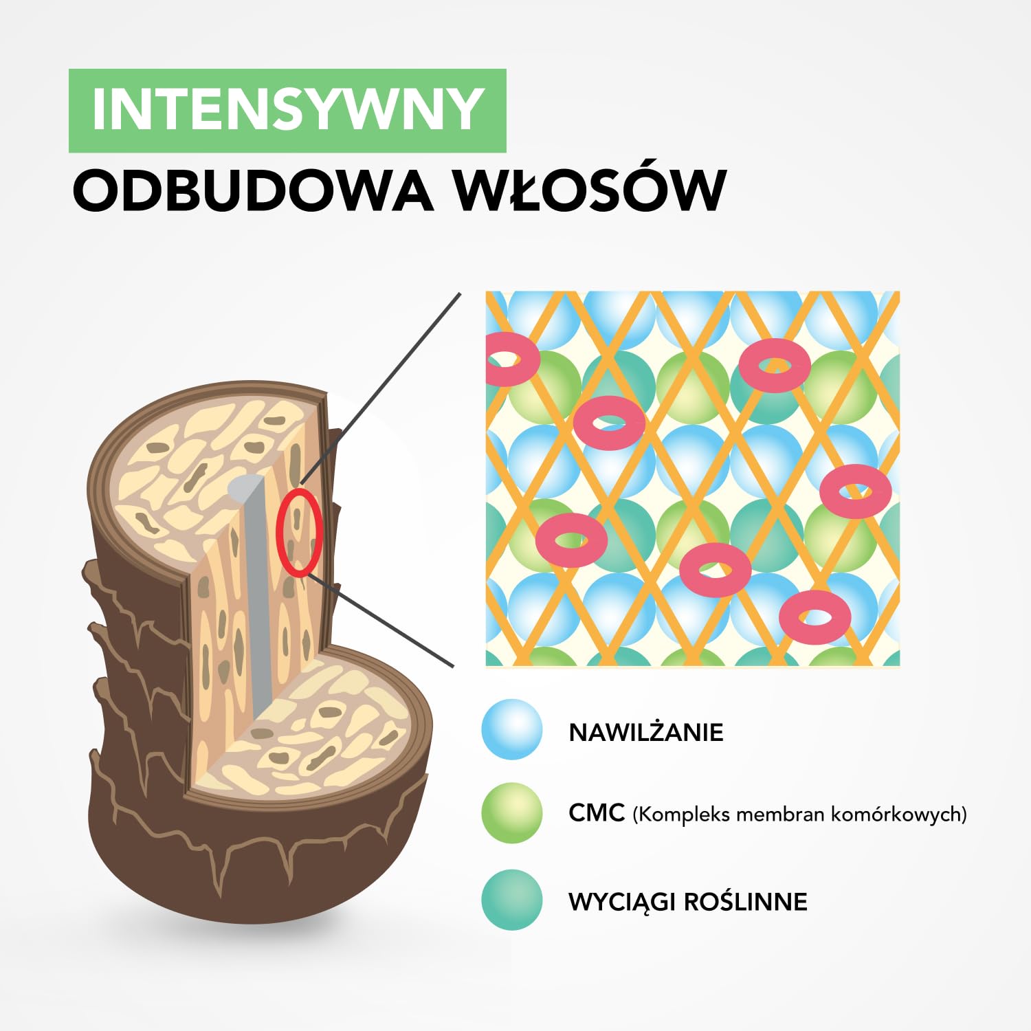 Шампунь LebeL Cool Orange SC 600 мл, фото №8