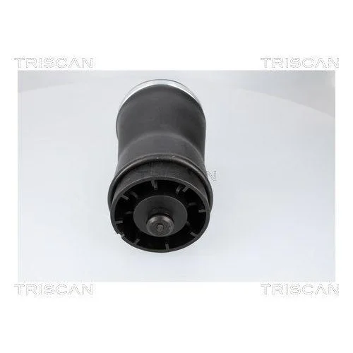 Пневматическая пружина TRISCAN для BMW, задняя правая, фото №2