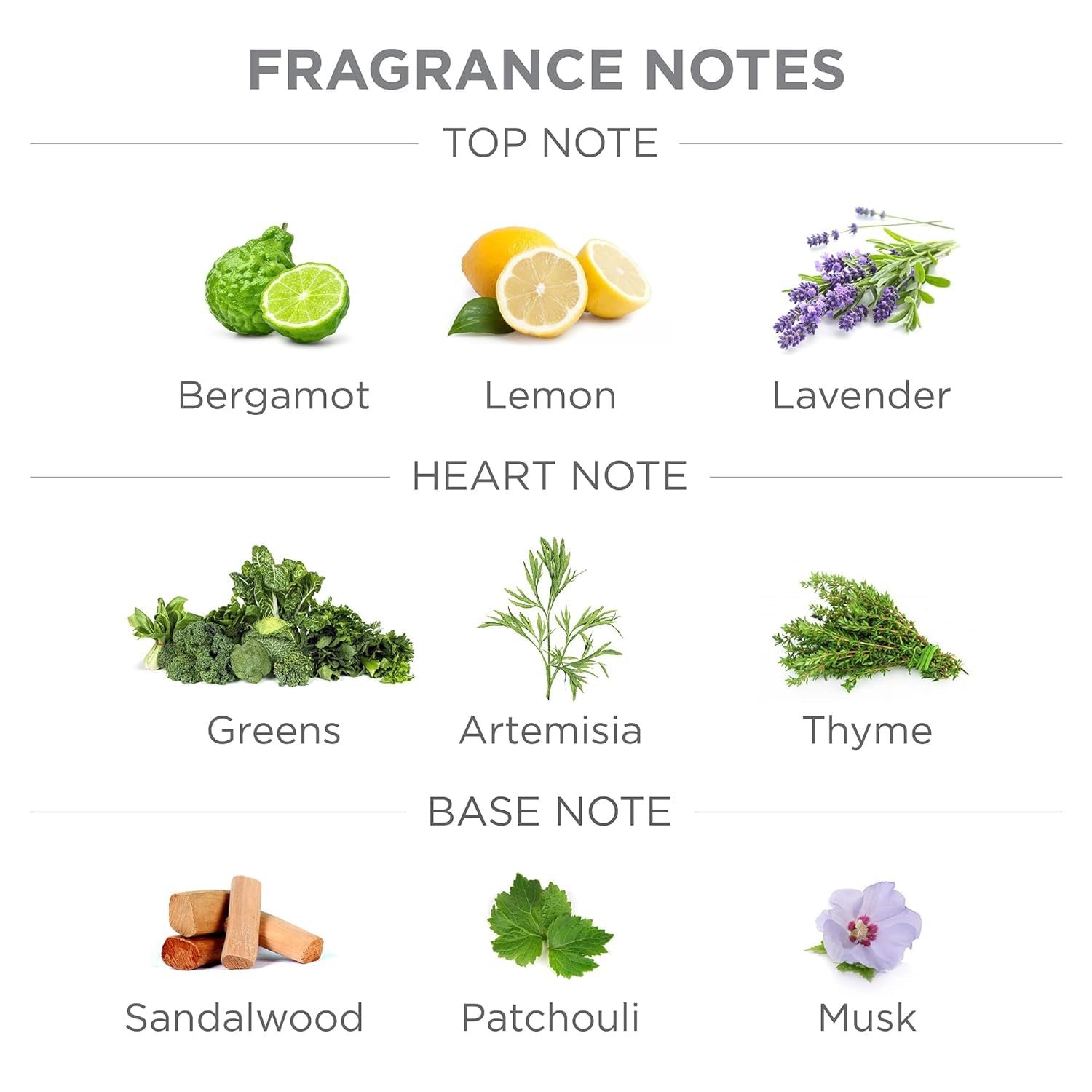 Гель для душу та вмивання Yardley London Gentleman Urbane з активованим вугіллям для чоловіків 250 мл, фото №3