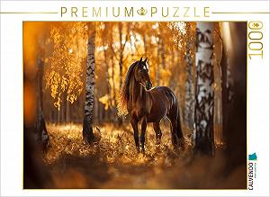 Пазлы CALVENDO Brown Horse in Autumn Forest 1000 элементов 64 x 48 см - Фото 1