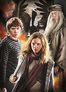 Пазл Clementoni 61884 Harry Potter Multi Puzzle 3 x 1000 деталей synthetic.ua - Фото 1