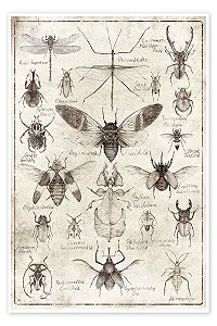 Постер Mike Koubou Insects II 40 x 60 см - Фото 1