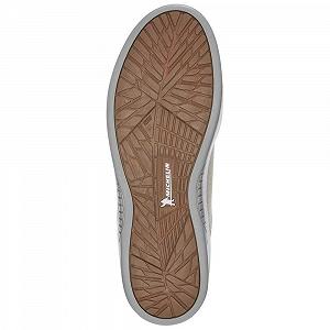 Кроссовки Etnies Jameson 2 Eco 1 мужские synthetic.ua - Фото 1