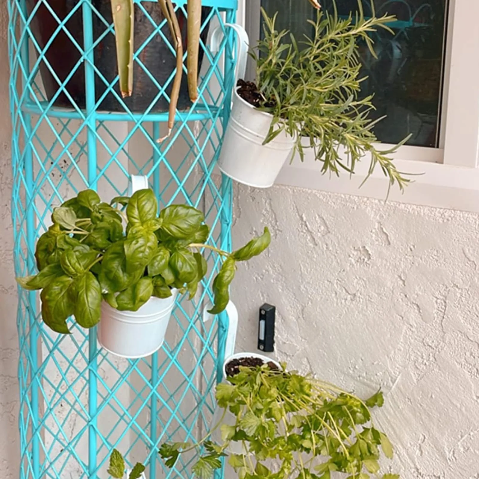 Квіткові горщики підвісні 6 шт. металеві 10 см Білий, фото №7 Квіткові горщики підвісні 6 шт. металеві 10 см Білий, фото №7