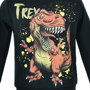 Джемпер Mariela Kids Динозавр для дітей Бавовна synthetic.ua - Фото 1