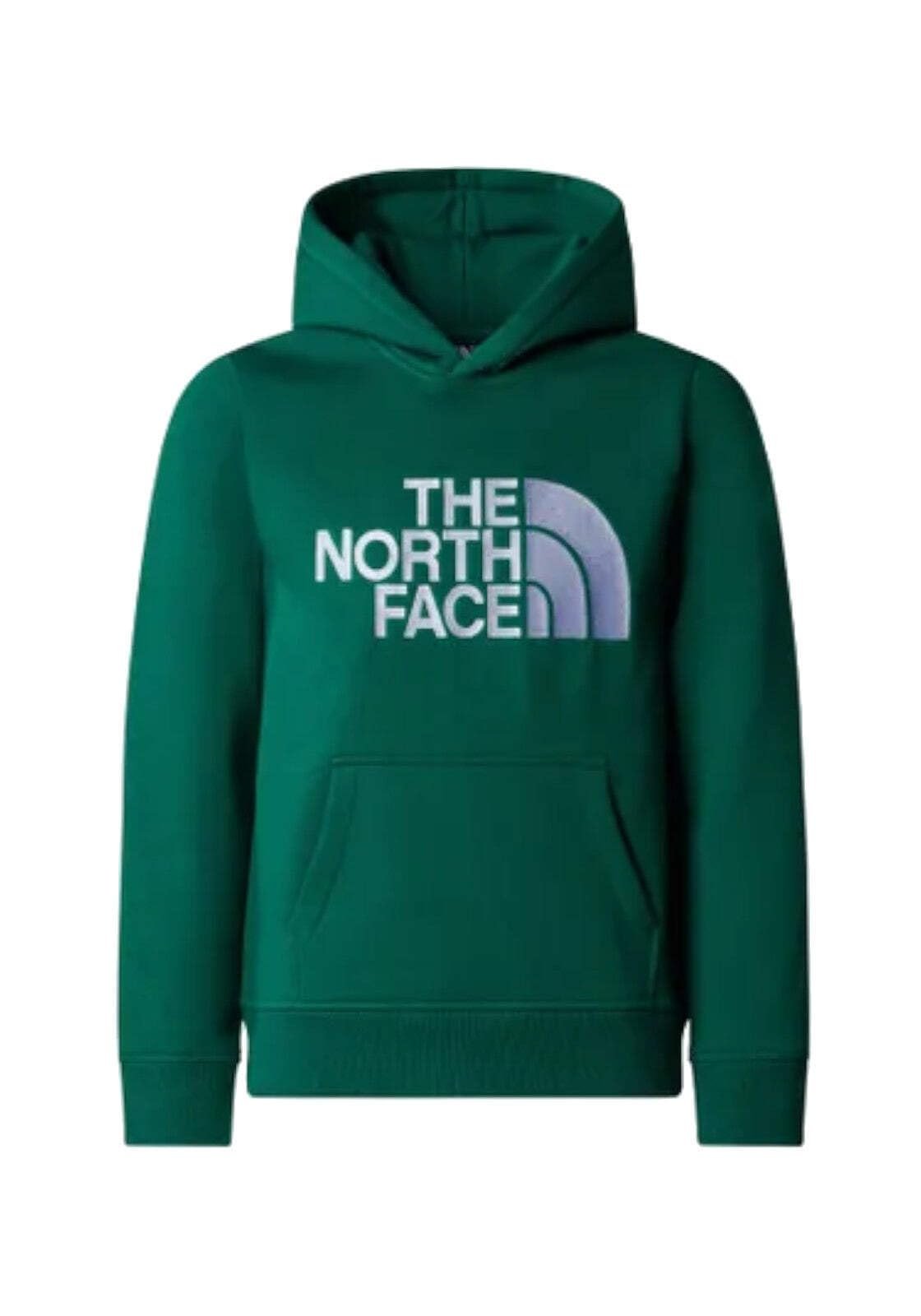 Худи The North Face Unisex Kinder B Drew Peak P/O Толстовка (1 шт.), фото №1