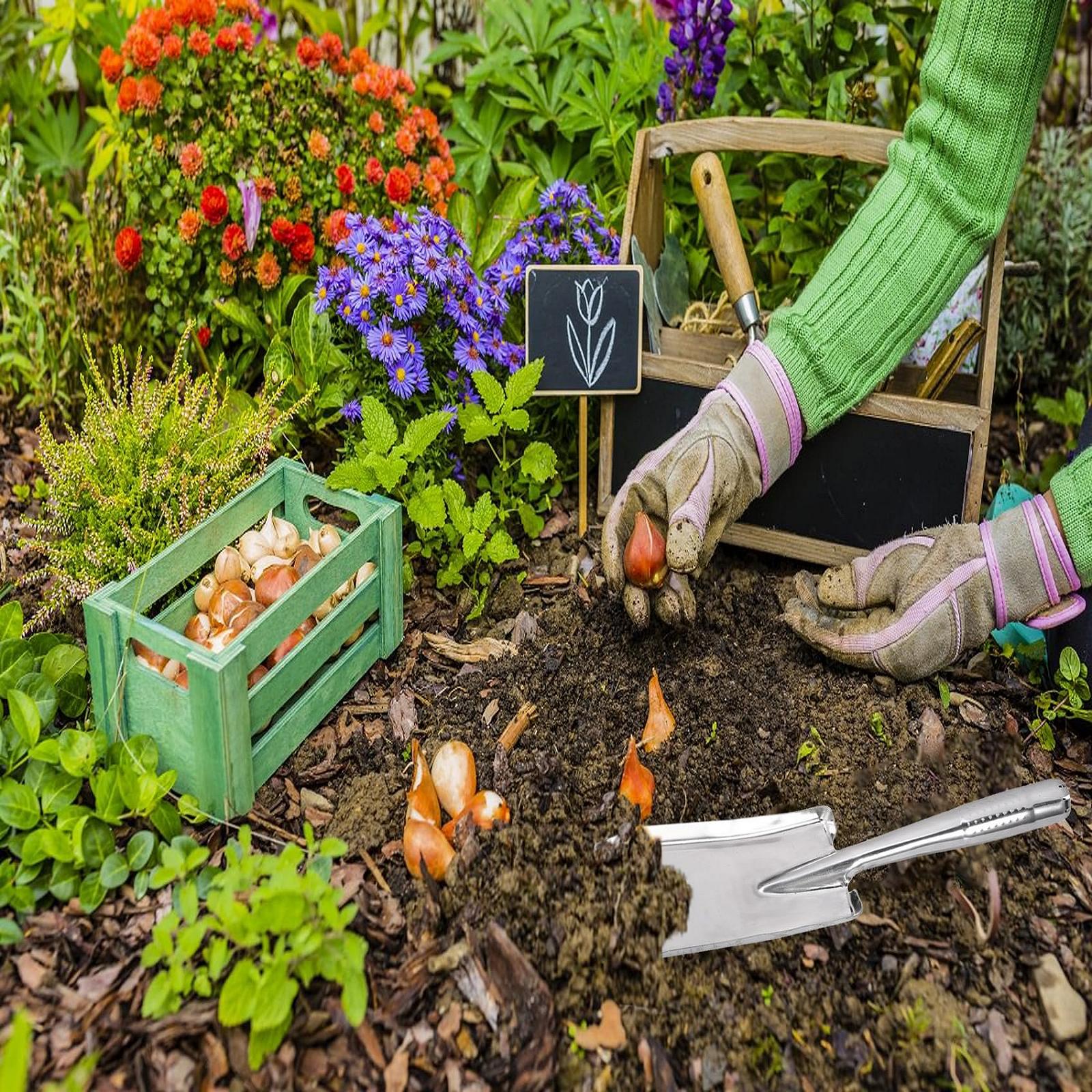 Лопата совковая Садовый Ручной для Пересадки Прополки Перемещения и Разглаживания Копания и Посадки, фото №6