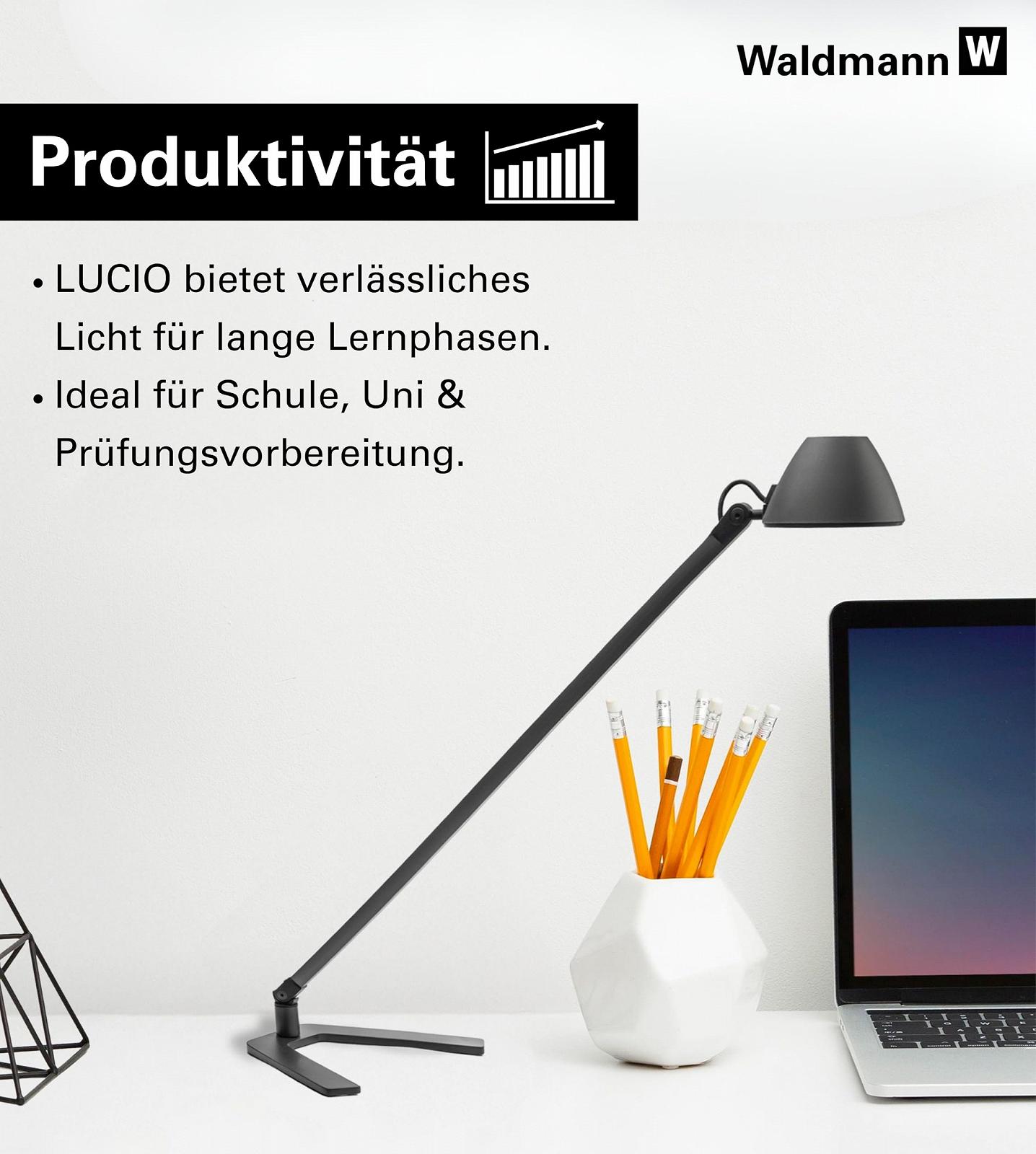 Настільна лампа Waldmann Lucio Home LED 4000 K (Limited Edition), фото №6