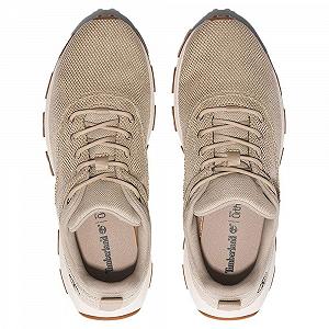 Кроссовки Timberland Winsor Park ex91 Light Low Бежевый synthetic.ua - Фото 1