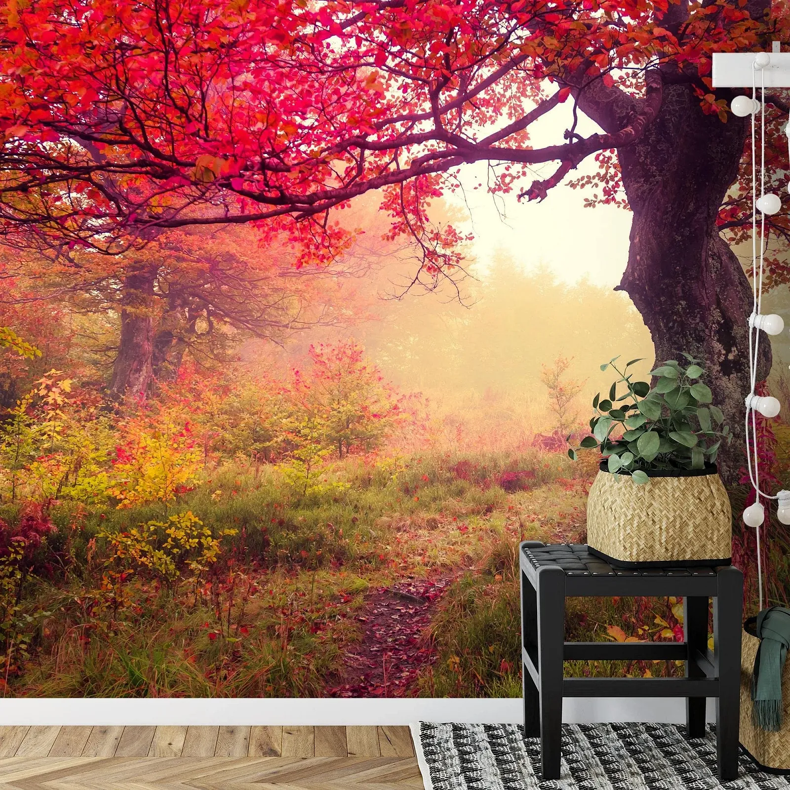 Фотошпалери 9079011a Autumn forest Флізелінові 352 x 250 см, фото №8