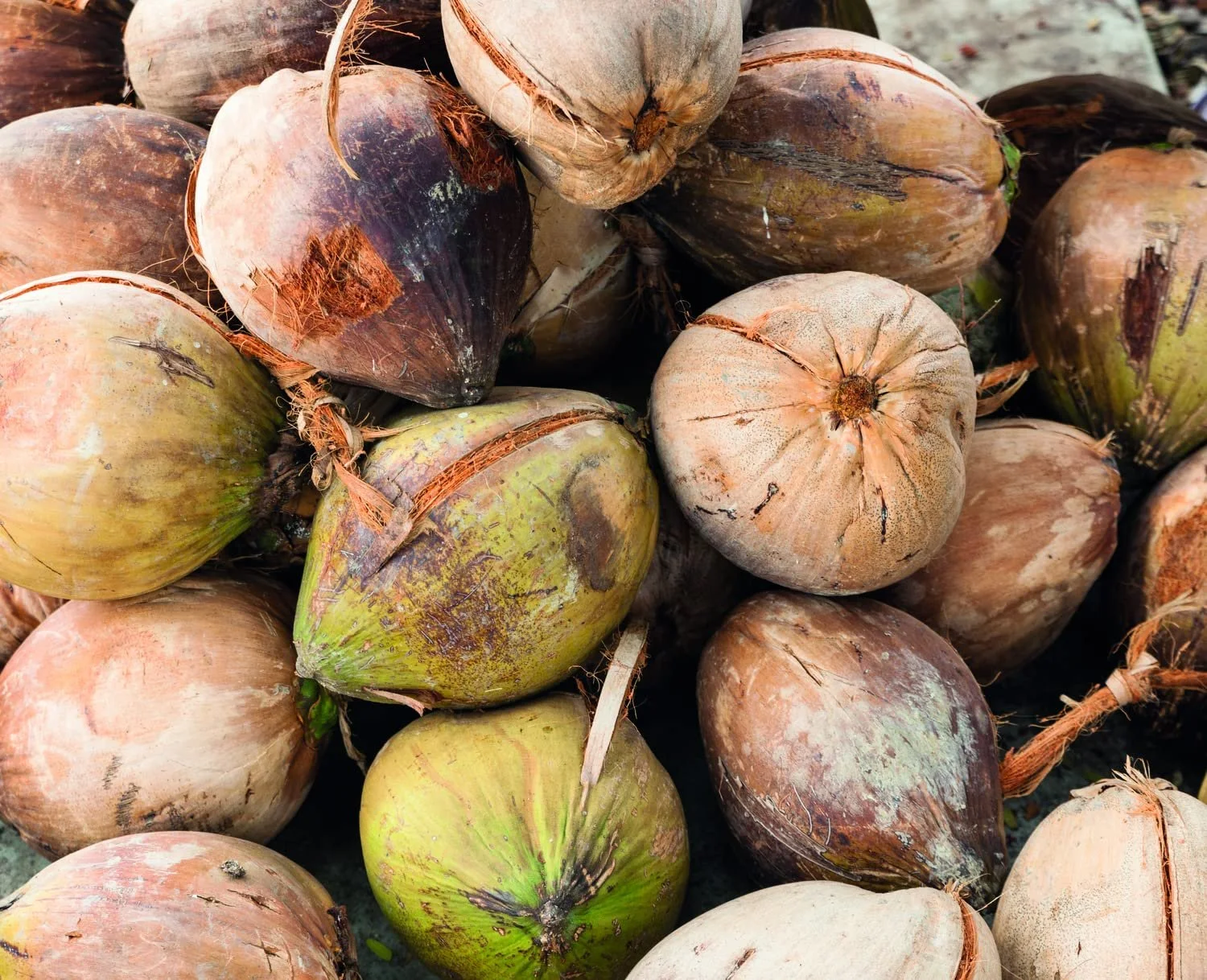 Крем для рук WELEDA Organic Sensitive Без запаха с органическим маслом жожоба и кокосовым маслом, фото №6