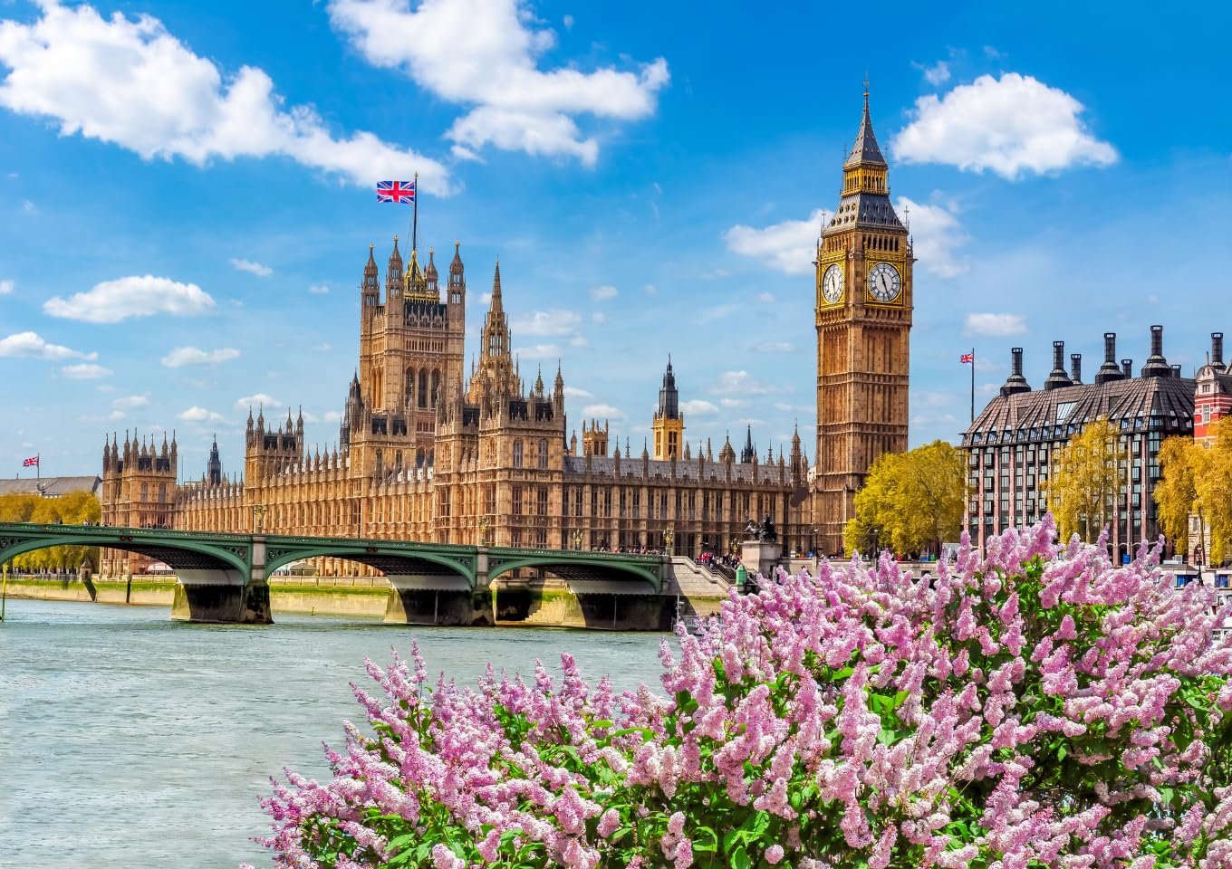 Пазл Mr. Broccoli City Collection 5 в 1 5 x 1000 элементов 68 x 48 см, фото №3