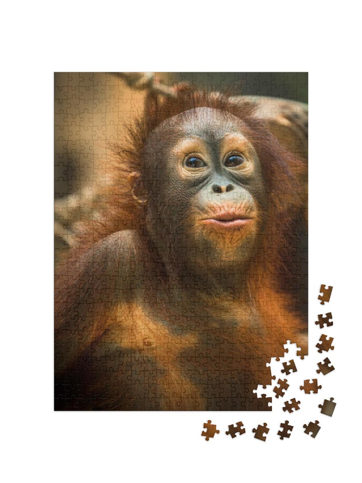 Пазл puzzleYOU Animals Орангутанг 500 элементов, фото №2