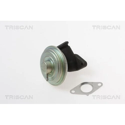 Клапан EGR TRISCAN 8813 28017 для CITROËN PEUGEOT, фото №2