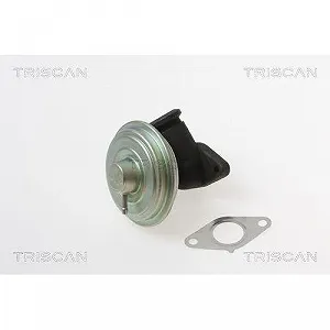 Клапан EGR TRISCAN 8813 28017 для CITROËN PEUGEOT synthetic.ua - Фото 1