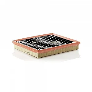 Воздушный фильтр MANN-FILTER C 29 145 для OPEL VAUXHALL GENERAL MOTORS - Фото 1