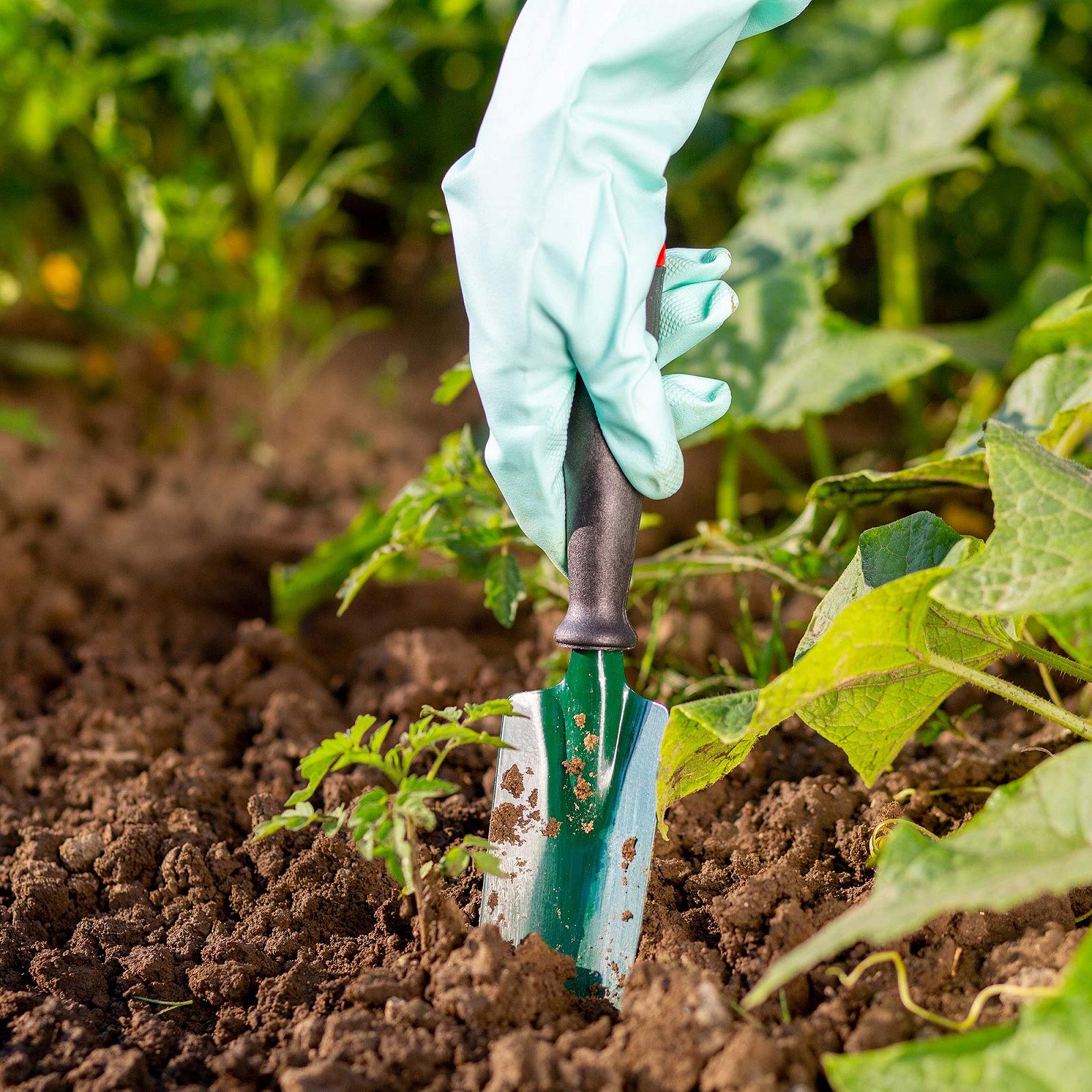 Лопатка для цветов KADAX узкая Металл Пластиковая ручка Зеленый, фото №6