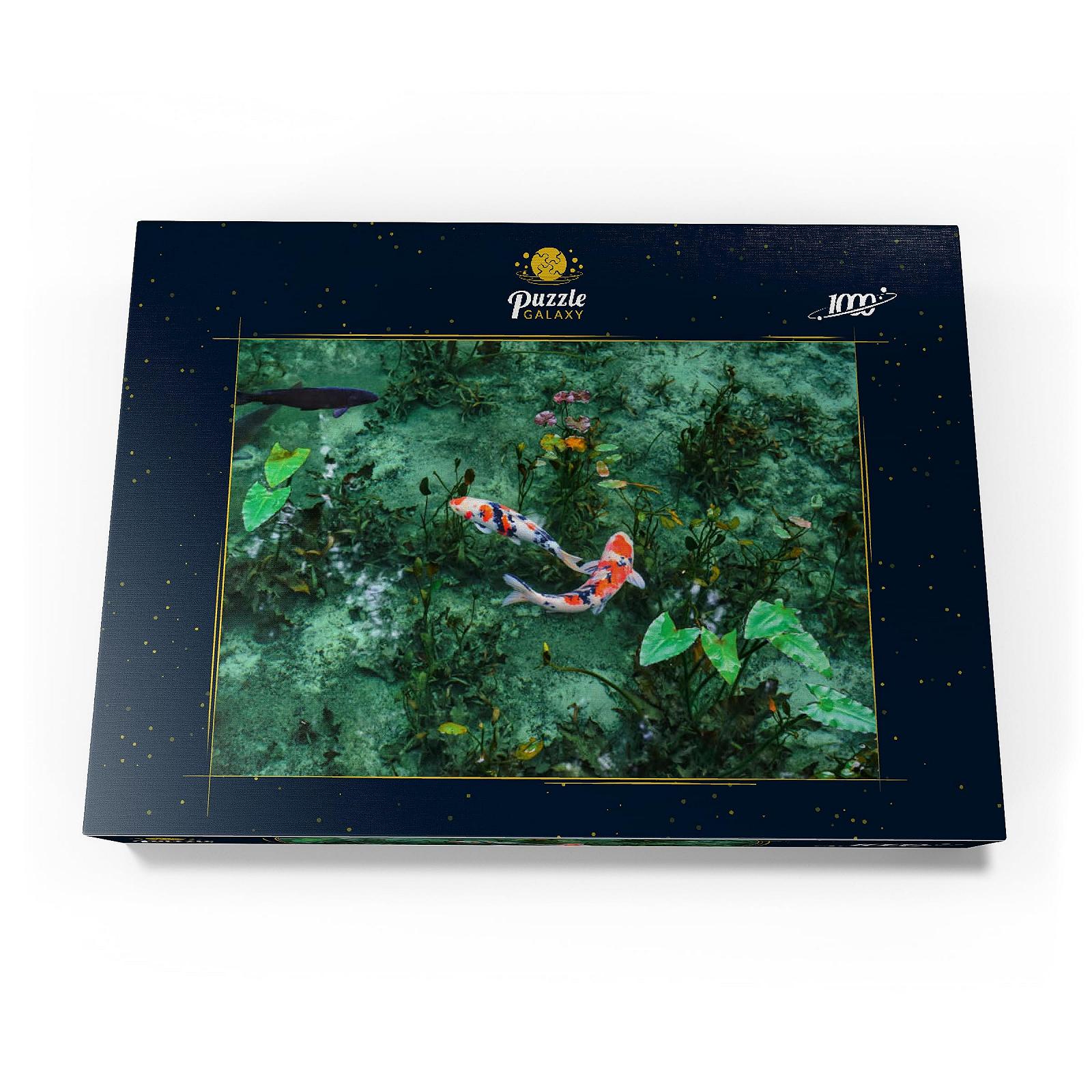 Пазл MyPuzzle MyPuzzle Special Collection Monet's Koi Pond in Seki City in Gifu Prefecture, Japan 1000 элементов, фото №4