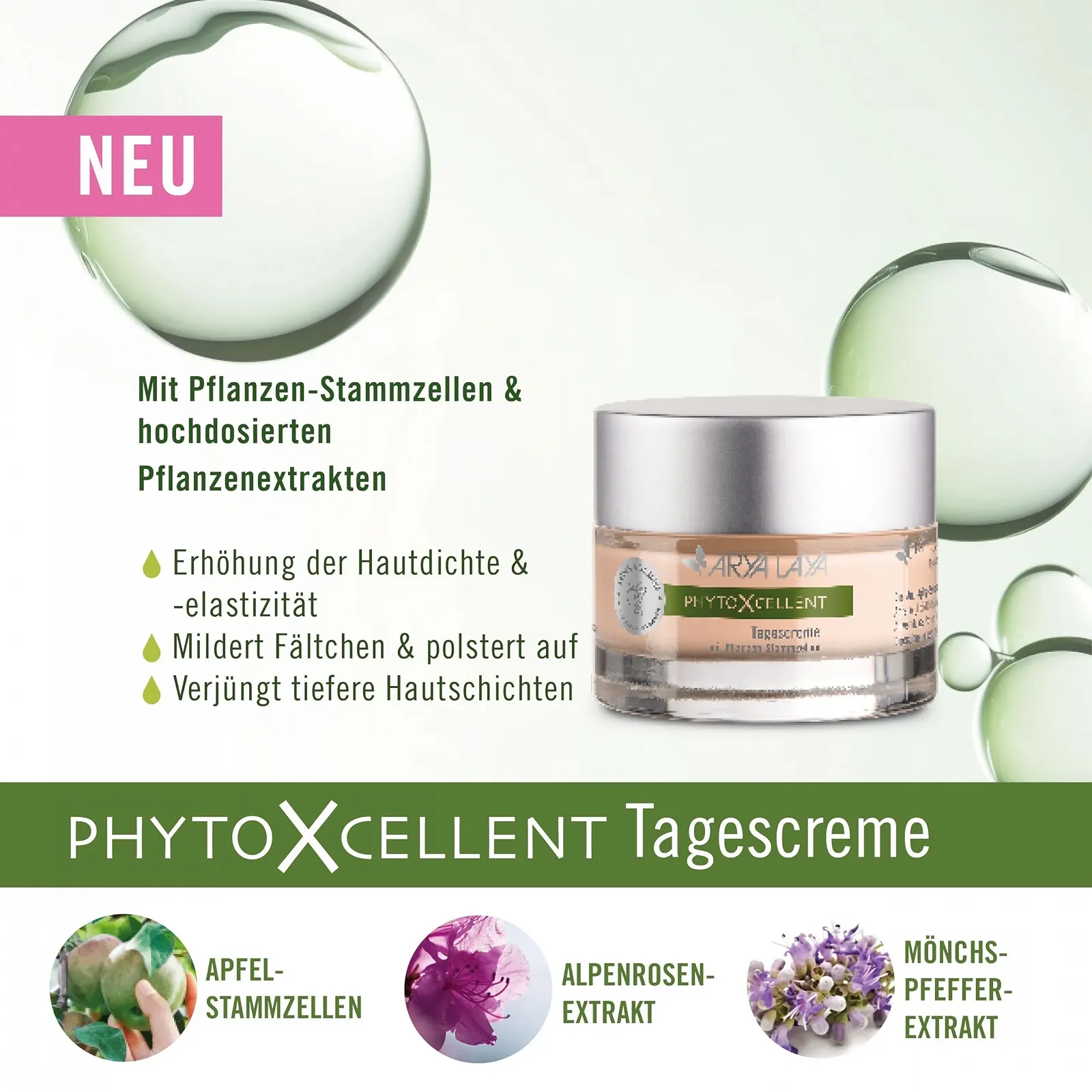 Набір ARYA LAYA PhytoXcellent, Денний та Нічний крем зі стовбуровими клітинами рослин, 50 мл кожен в привабливій упаковці, фото №2