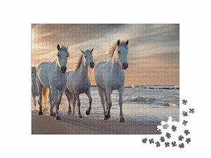 Пазл puzzleYOU Animals Puzzle Collection "Белые лошади Камаргу, Франция" 1000 элементов synthetic.ua - Фото 1