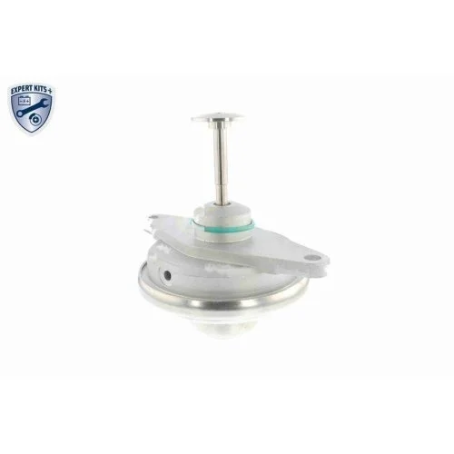 VEMO Клапан EGR V40-63-0019 EXPERT KITS + для OPEL SAAB, фото №3