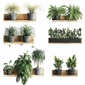 Купити 3D Наклейка на стіну PVC Бонсай Знімна Рослини в горщиках - Фото 1 3D Наклейка на стіну PVC Бонсай Знімна Рослини в горщиках - Фото 1